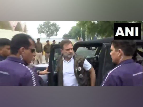 Congress MP Rahul Gandhi. (Photo/ANI)