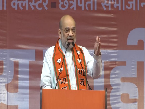 Union Home Minister Amit Shah. (Photo/ANI)
