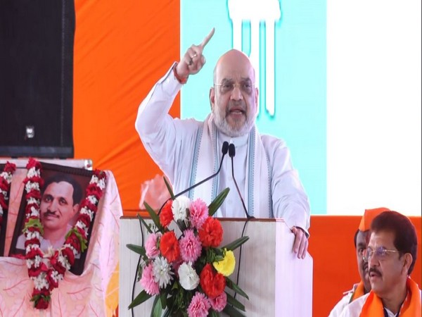 Union Home Minister Amit Shah (Photo/ANI)