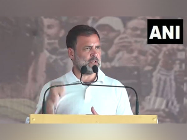 Congress leader Rahul Gandhi (Photo/ANI)