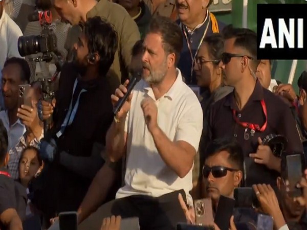 Congress leader Rahul Gandhi (Photo/ANI)