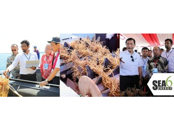 Shrikumar Suryanarayan, Chairman, and Nelson Vadassery, CEO of Sea6 Energy demonstrate operations of the Company’s large-scale mechanized Seaweed Farm