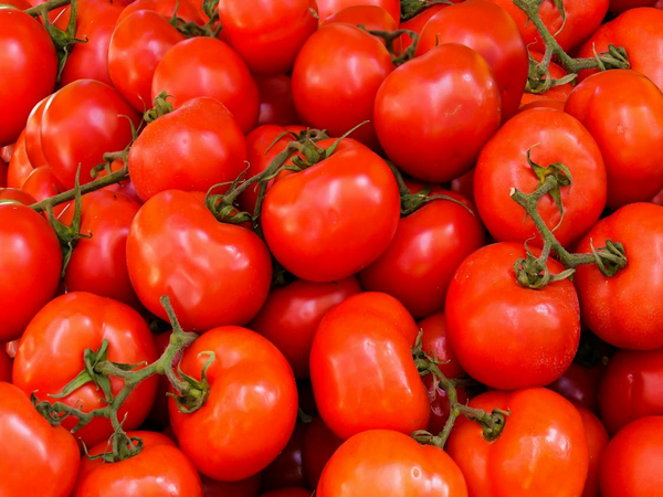 Tomatoes (File Photo)