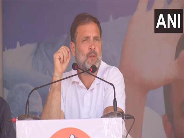 Congress MP Rahul Gandhi. (Photo/ANI)