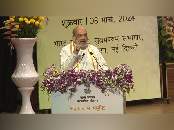 Union Home Minister Amit Shah (Photo/ANI)