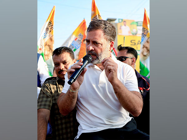 Congress MP Rahul Gandhi (Photo/ANI)