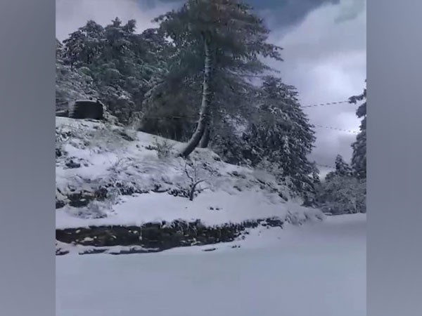 Snowfall in Narkanda, Shimla (Photo/ANI)