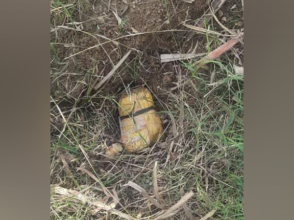 BSF, Punjab Police recover packet of suspected heroin in Punjab's Amritsar (Photo/Twitter:BSF)