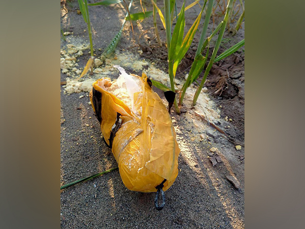 BSF recovers packet of suspected heroin in Punjab's Gurdaspur (Photo/Twitter: @BSF_Punjab)