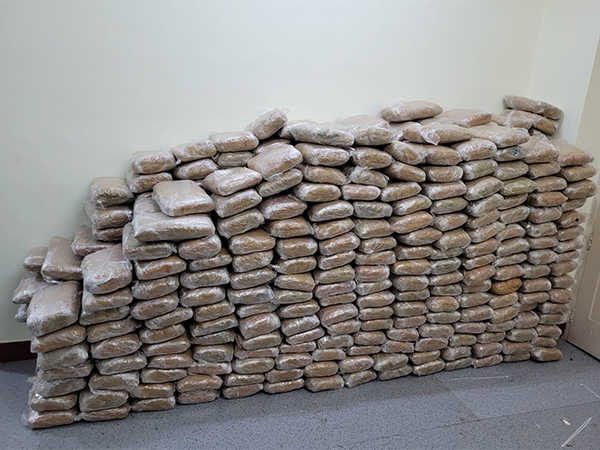 Trichy Customs seize Ganja, Hashis worth Rs 111 crore (Photo/ANI)