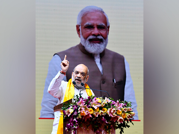 Union Home Minister Amit Shah (Photo/ANI)