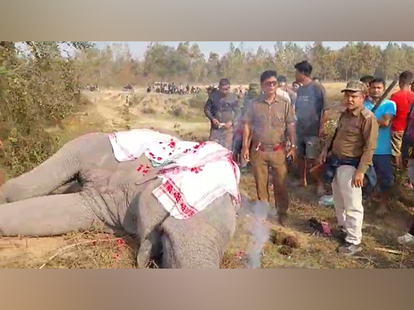 A visual from the site (Photo/ANI)