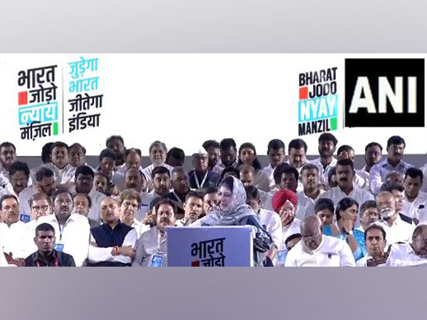 Former J-K Chief Minister Mehbooba Mufti (Photo/ANI)