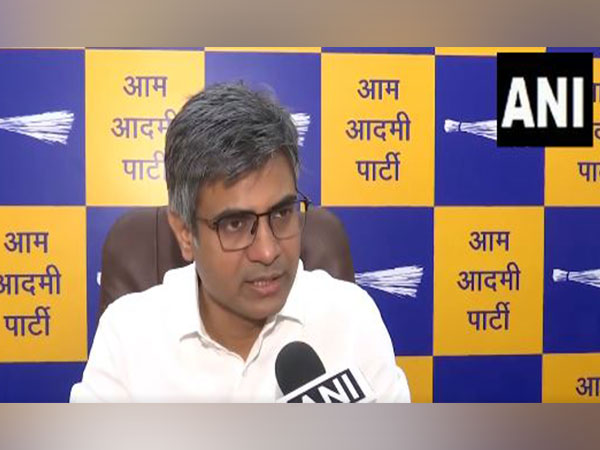 AAP MP Sandeep Pathak. (Photo/ANI)