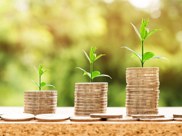 Bank FD vs Corporate FD: Which One Should You Choose?