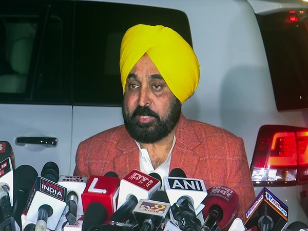 Punjab Chief minister Bhagwant Mann (Photo/ANI)