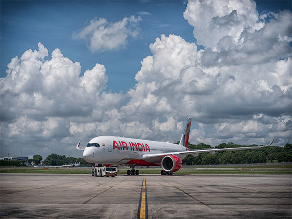 Air India aircraft (File Photo/ANI)