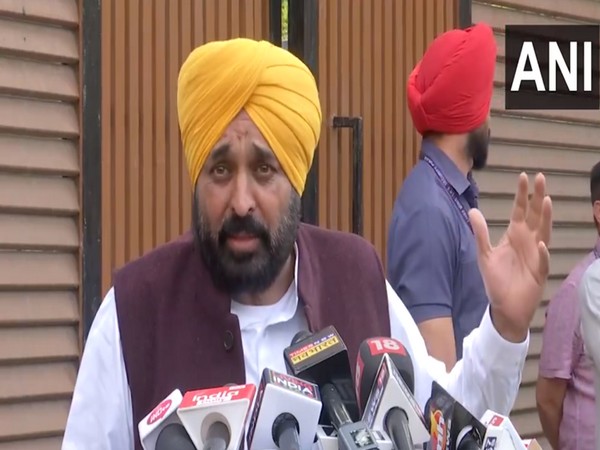 Punjab Chief Minister Bhagwant Mann (Image/ANI)