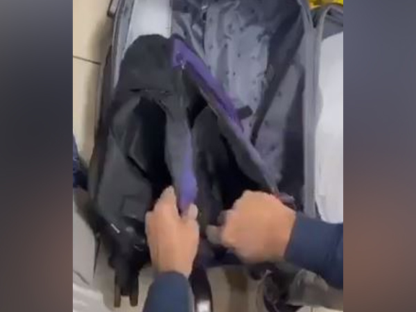 Visuals from the spot (Photo/Mumbai Customs)