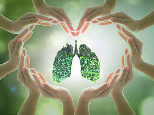 Tuberculosis Cover: The ideal protection against Tuberculosis