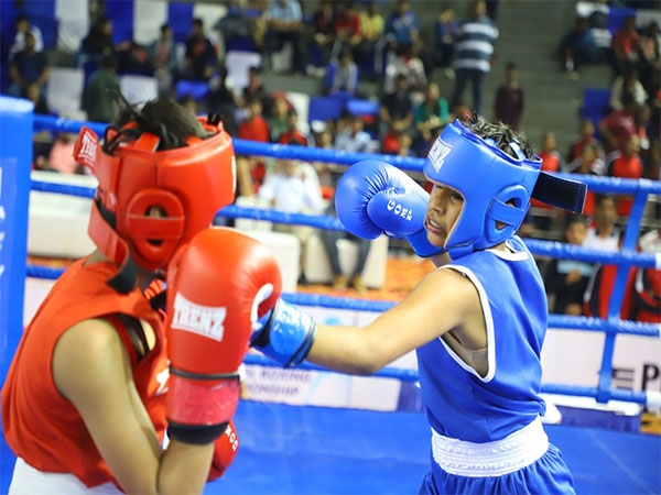 Boxers in action during the championship. (Photo- BFI Media)