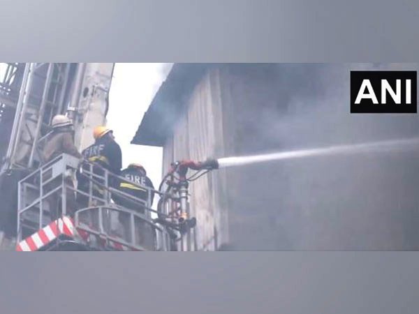 Fire breaks out in Delhi's Narela factory (Photo/ANI)