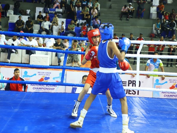Boxers in action during the championship. (Photo- BFI Media)
