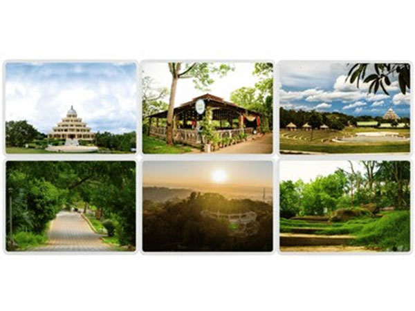 Nature's Miracle-The Epic Tale of The Art of Living's Lush, Green Wonderland