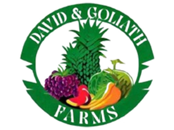 Harvest for humanity: David & Goliath Farms fuels Ramadan feasts with a mountain of veggies