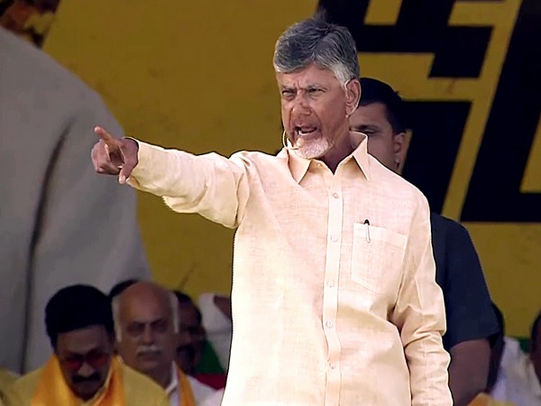 TDP Chief N Chandrababu Naidu (File Photo/ANI)
