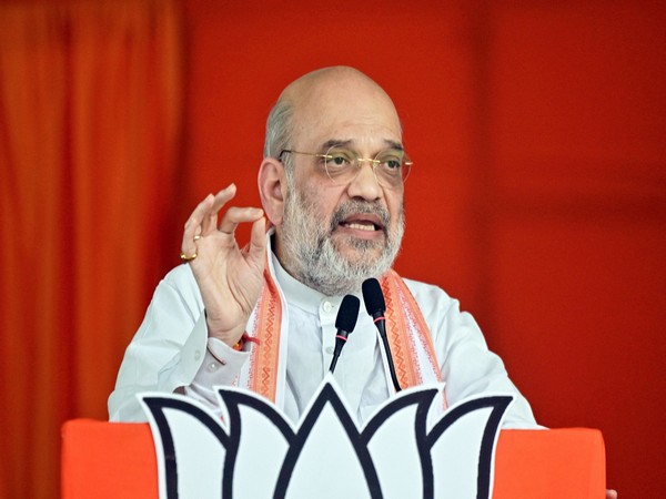 Union Home Minister Amit Shah (File Photo/ANI)