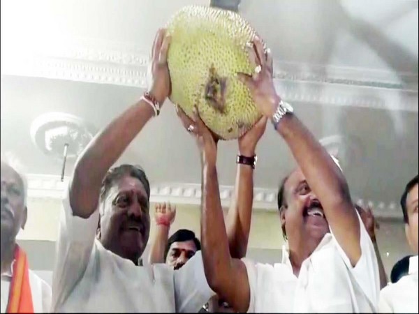 O Panneerselvam and Thiruvadanai Union Secretary cheer with a 'jackfruit' after being allotted the symbol. (Photo/ANI)