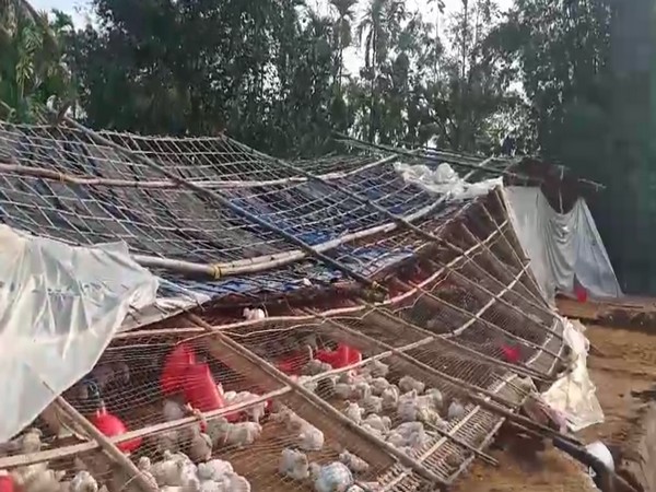 Visual from Assam's Kamrup district. (Photo/ANI)