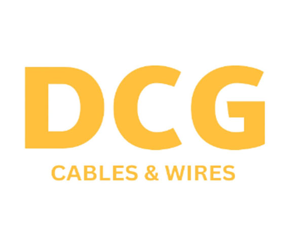 Issue Size – 49,99,200 Equity Shares of Rs 10 each, Issue Size – Rs 49.99 Crores, Issue Price – Rs 100 Per Equity Shares, Lot Size – 1,200 Equity Shares