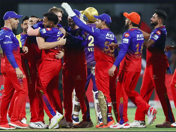 Team Royal Challengers Bengaluru (Photo: IPL)