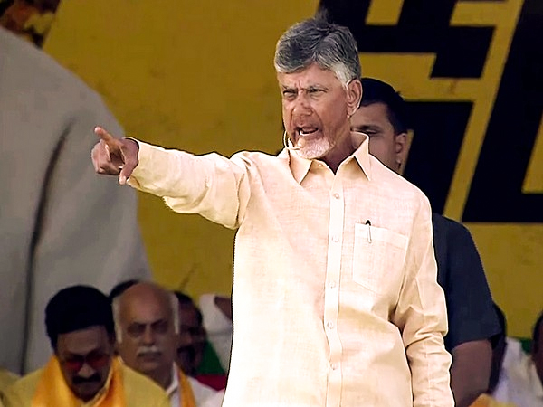 TDP chief Chandrababu Naidu ( File photo/ANI)
