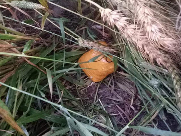 BSF recovers 350 grams of heroin from Punjab's Tarn Taran (Photo/ANI)