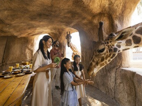 Get Inspired for Summer with 101 Abu Dhabi Do’s!