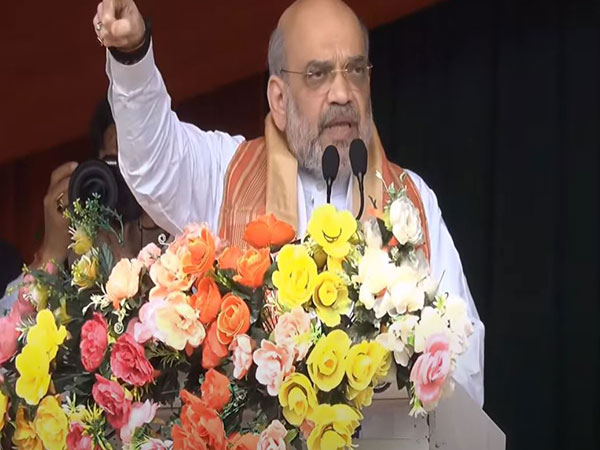 Union Home Minister Amit Shah (Photo/ANI)