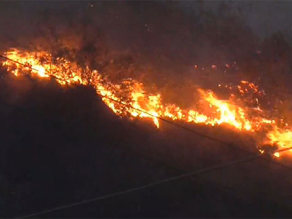 Fire breaks out in forests of Uttarakhand's Srinagar (Photo/ANI) 