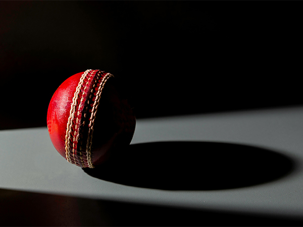 Representative Image (Photo: Pexels)