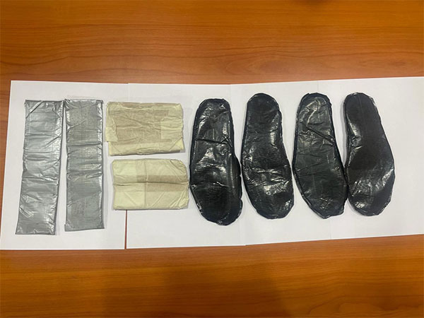 Gold in paste form (Photo/DRI)