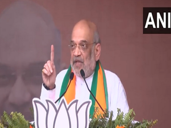 Union Home Minister Amit Shah (Photo/ANI)