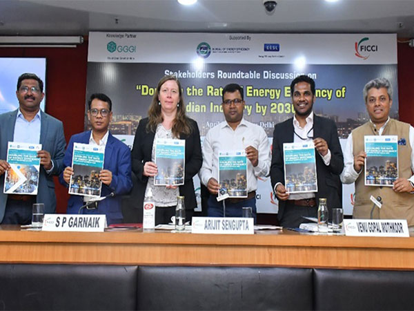 Photo: FICCI Website