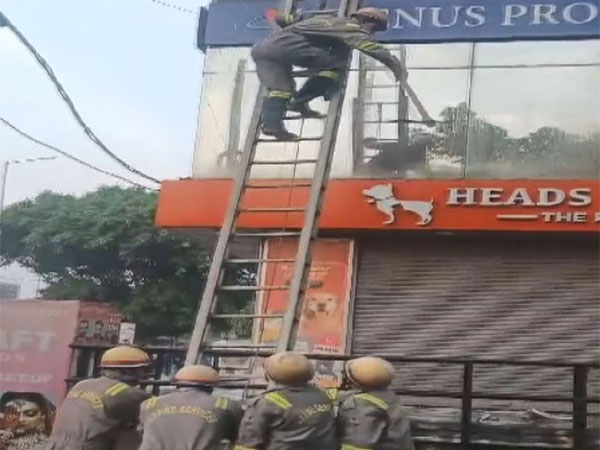 Fire breaks out at restaurant in Noida sector 18 (Image/ANI)