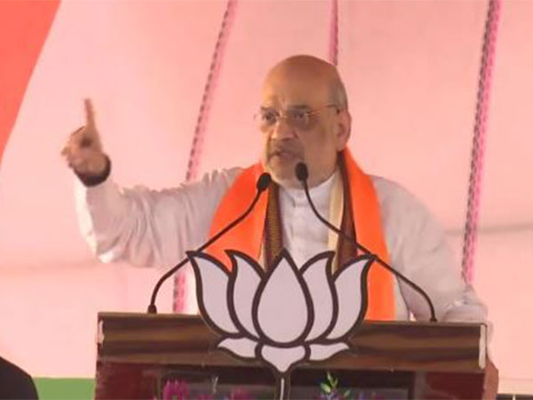 Union Home Minister Amit Shah (Photo/ANI)