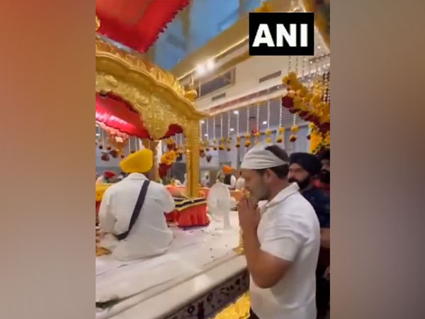 Congress leader Rahul Gandhi (Photo/ANI)