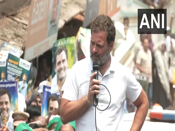 Congress leader Rahul Gandhi (Photo/ANI)