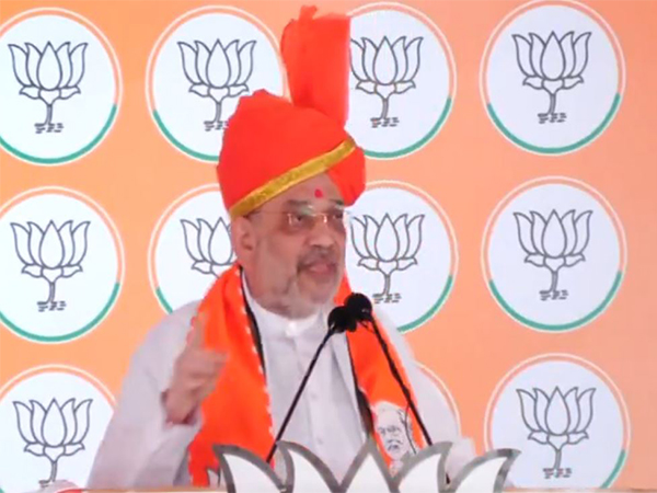 Union Home Minister Amit Shah (Photo/ANI)