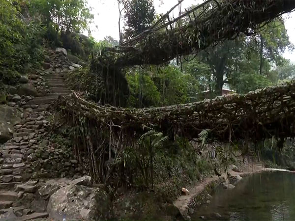 Visual from the spot. (Photo/ANI)